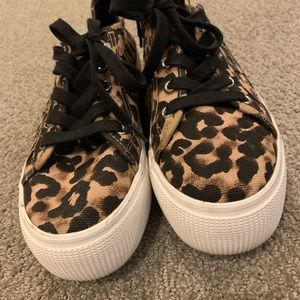 Steve Madden emmi leopard print platform sneakers
